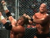 Steve Austin Hell In A Cell