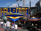 Physical WWE Hall of Fame