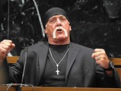 Hulk Hogan Gawker