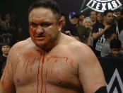 Samoa Joe blood