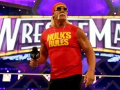 Hulk Hogan Wrestlemania 33